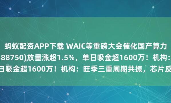 蚂蚁配资APP下载 WAIC等重磅大会催化国产算力！科创芯片50ETF(588750)放量涨超1.5%，单日吸金超1600万！机构：旺季三重周期共振，芯片反弹伊始
